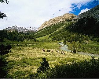 CDPR将在《巫师4》中打造更加具有存在感的NPC